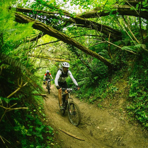 randonnée VTT forêt team building toulouse