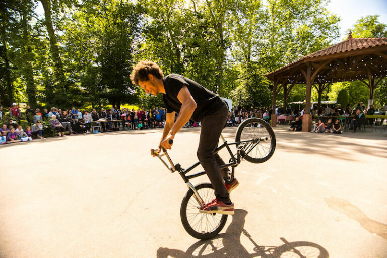 Show Bmx Flatci1i4078