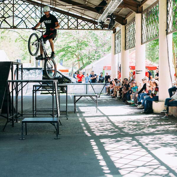 Show Trial Florian Bikeart